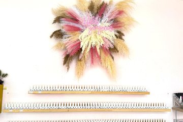 T&T Beauty
